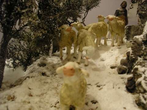 REBAÑO DE OVEJAS EN LA NIEVE
