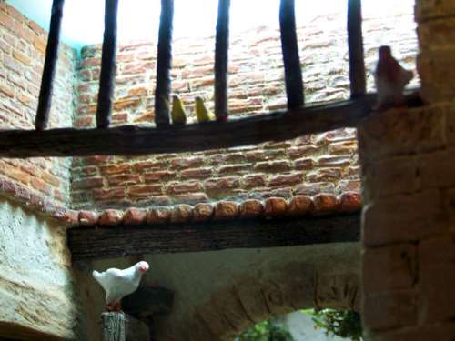 Detalle patio
